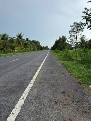 (76)Bán Đất 1327m2 giá 1.75 tỷ tại - Chọn - Xã Hữu Định Huyện Châu Thành Bến Tre