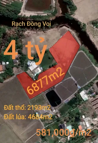 Bán Đất 6877m2 có sẵn 2193 m2 thổ cư giá 4 tỷ tại Xã Đức Tân Huyện Tân Trụ Long An
