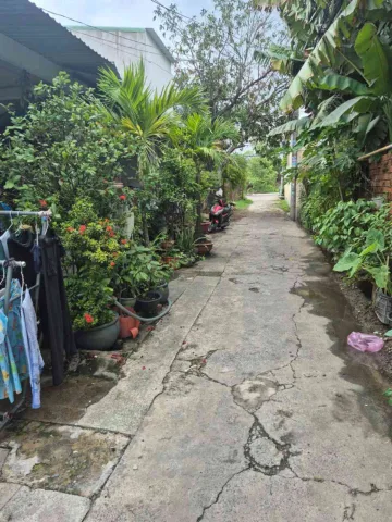 Bán Nhà riêng 56m2 có sẵn 56 m2 thổ cư giá 3.1 tỷ tại Đường Trung Lân 4 Xã Bà Điểm Huyện Hóc Môn TP. Hồ Chí Minh