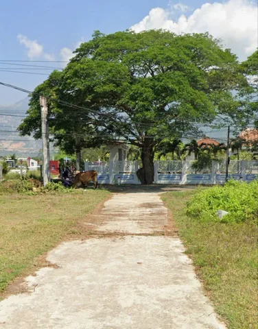 🔥 BÁN ĐẤT THỔ CƯ THÔN TIÊN NINH – 98M² – GIÁ 17TR/M²