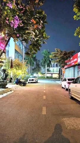 Bán Nhà riêng 81m2 có sẵn 81 m2 thổ cư giá 11 tỷ tại Đường GS1 Phường Đông Hòa Thành phố Dĩ An Bình Dương