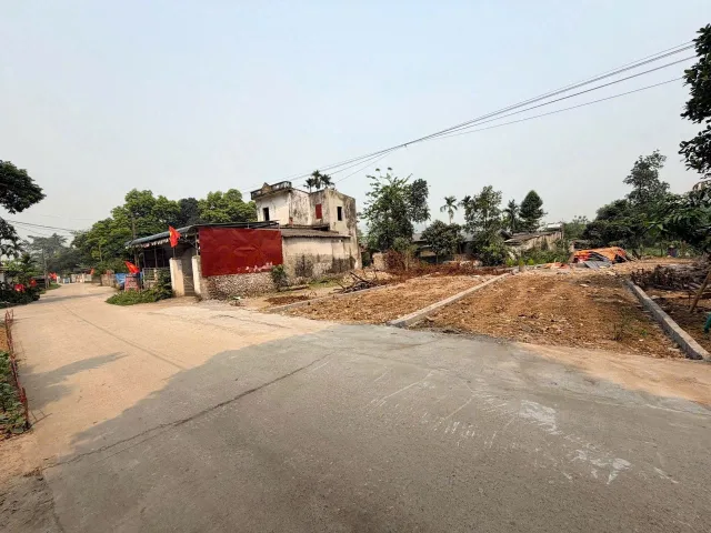Trục chính tổng 200M giá mỗi lô 990 triệu