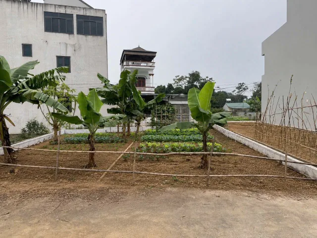 Tổng 200M giá mỗi lô 970 triệu sẵn sổ