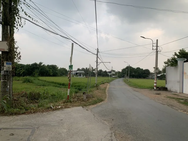 Bán Đất 1433m2 có sẵn 1433 m2 thổ cư giá 15 tỷ tại Đường Nhà Đồ Xã Phước Lý Huyện Cần Giuộc Long An