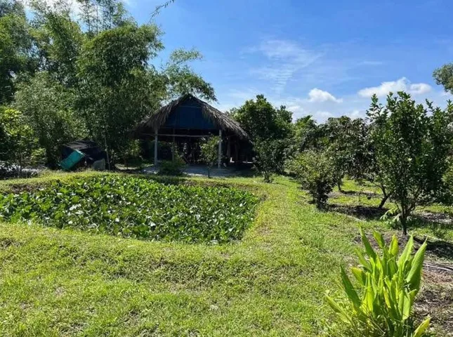Bán Đất 500m2 có sẵn 200m2 TC dân cư đông đúc, mặt tiền đường nhựa 8m. Gần chợ gần trường. Cách khu công nghiệp Bàu Bàng 10p đi xe