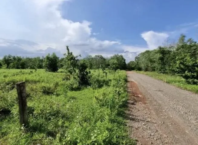 Bán Đất 8000m2 giá 16 tỷ tại - Chọn - Xã Hòa Thắng Huyện Bắc Bình Bình Thuận