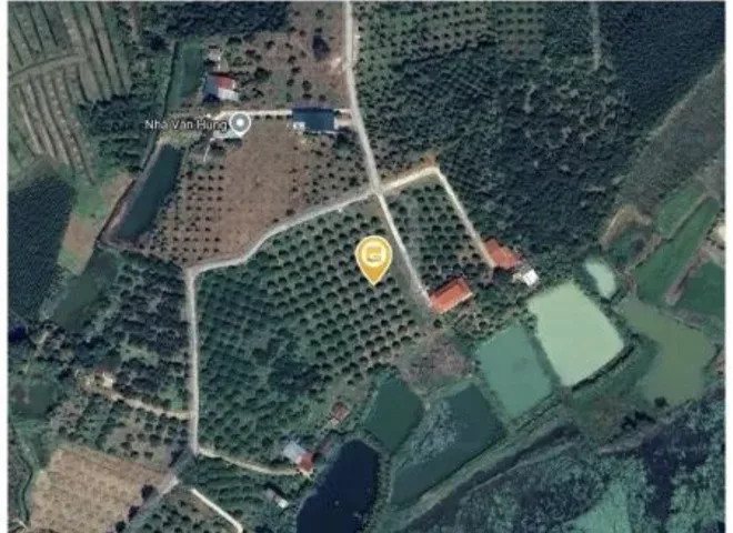 Bán Đất 5000m2 giá 10.5 tỷ tại - Chọn - Xã Hòa Thắng Huyện Bắc Bình Bình Thuận