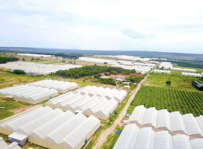 Bán Đất 9000m2 giá 17 tỷ tại - Chọn - Xã Hòa Thắng Huyện Bắc Bình Bình Thuận