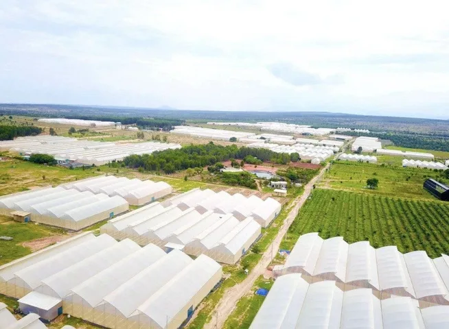Bán Đất 9000m2 giá 17 tỷ tại - Chọn - Xã Hòa Thắng Huyện Bắc Bình Bình Thuận