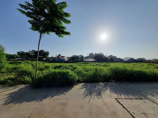 (S588) Đất xã Phú Hòa Đông, dt 119m2, thổ 115m2, giá 1 tỷ 250