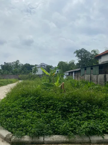 Bán Đất 122.4m2 có sẵn 87.5 m2 thổ cư giá 1.2 tỷ tại - Chọn - - Chọn - Xã Tam Đảo Phú Thọ