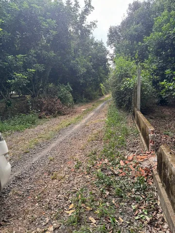 Bán Đất 2340m2 giá 7 tỷ tại - Chọn - Xã Bình An Huyện Long Thành Đồng Nai