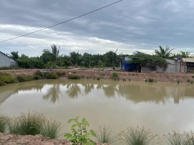 Bán Đất 11000m2 giá 215 triệu/1000M2 tại Xã An Thạnh 2 Huyện Cù Lao Dung Sóc Trăng