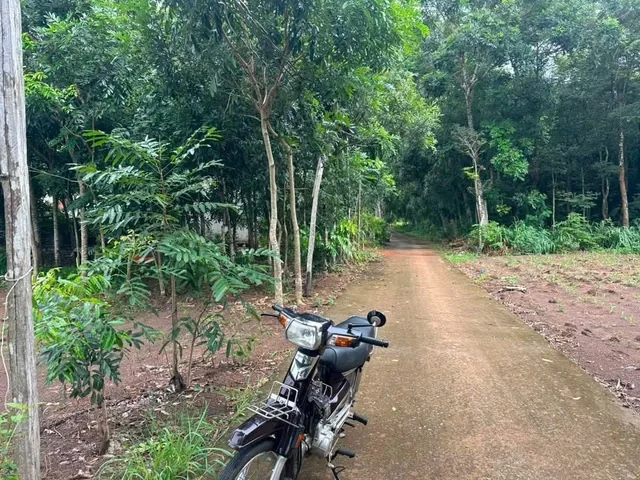 Bán Đất 1000m2 có sẵn 50 m2 thổ cư giá 350 triệu tại - Chọn - Phường An Lộc Thị xã Bình Long Bình Phước