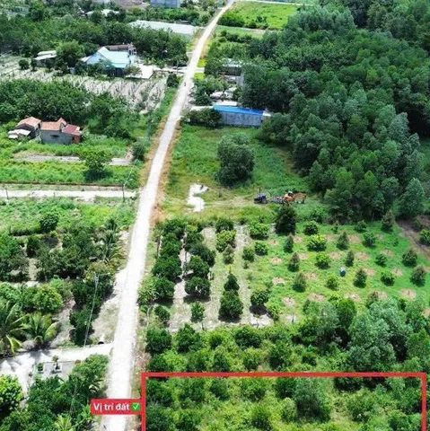 Bán vườn mít 2000m2 sát kcn Chơn Thành