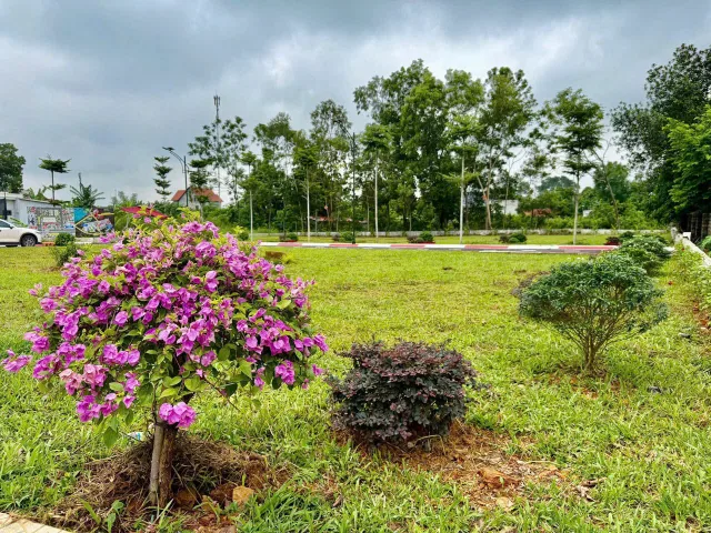 🔥 CƠ HỘI VÀNG SỞ HỮU ĐẤT ĐẸP – GIÁ TỐT, VỊ TRÍ TIỀM NĂNG! 🔥