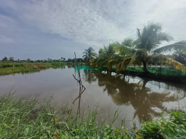 Bán Đất 2000m2 giá 6.4 tỷ tại Đường Kênh Ngang Xã Bình Lợi Huyện Bình Chánh TP. Hồ Chí Minh