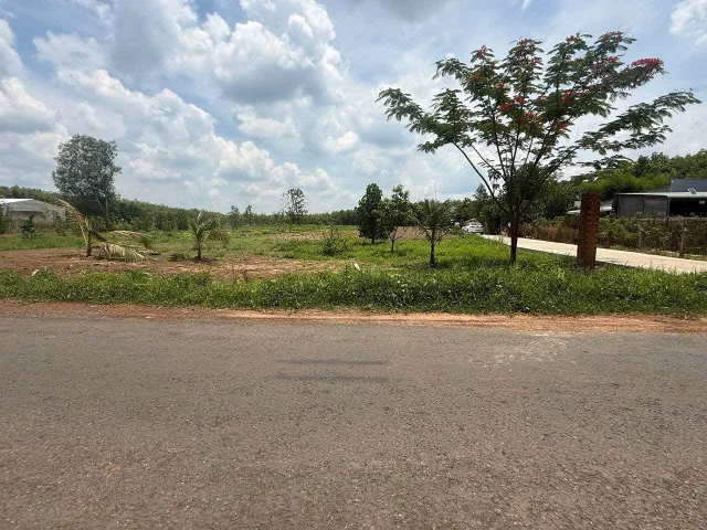 Bán đất Đồng Nai (mới) 200m2( thổ cư ) có sổ