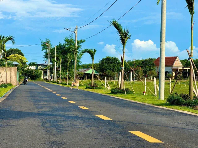 Bán Đất 250m2 có sẵn 100 m2 thổ cư giá 545 triệu tại Đường ĐT 749B Xã Minh Thạnh Huyện Dầu Tiếng Bình Dương