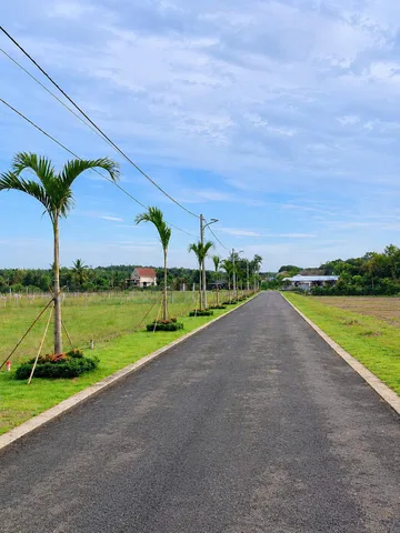 Gần 230m thổ cư cách chợ minh lập vài trăm mét