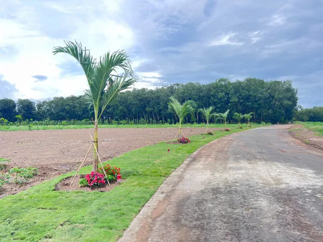 Bán gấp cặp liền kề 512m2 có sẵn 200m2 Đất ODT ngay chợ Minh Lập nha bích