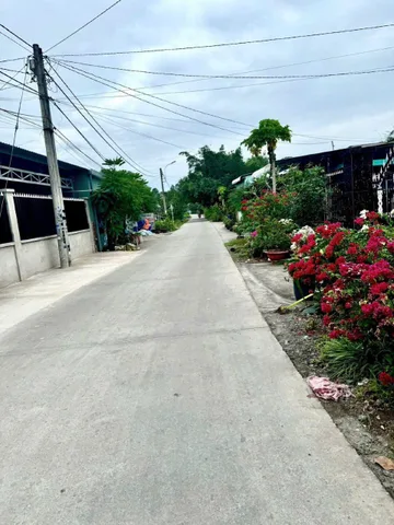 Bán Đất 550m2 có sẵn 50 m2 thổ cư giá 1.5 tỷ tại Đường Nguyễn Thị Hẹ Xã Thái Mỹ Huyện Củ Chi TP. Hồ Chí Minh
