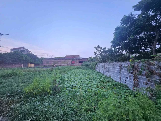 Bán Đất 71m2 thổ cư giá 2.8 tỷ tại Đường Tỉnh 379 Xã Đông Tảo Huyện Khoái Châu Hưng Yên