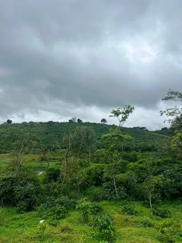 Bán Nc 🔥 4 SÀO MẶT TIỀN LẠC LONG QUÂN – CÁCH CHỢ LỘC QUẢNG CHỈ 200M | 8 TỶ 🔥 KHÔNG DÍNH 866