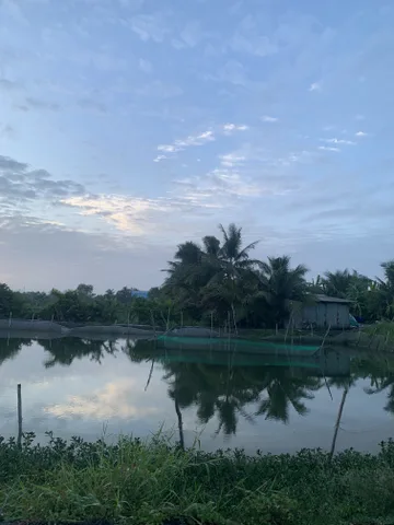 Bán Đất 6000m2 giá 6 tỷ tại Xã Bình Lợi Huyện Bình Chánh TP. Hồ Chí Minh