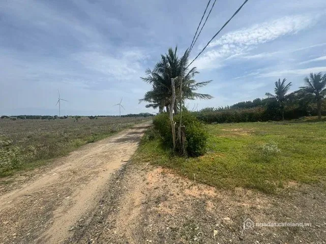 Bán Đất 2500m2 giá 5.5 tỷ tại - Chọn - Xã Hòa Thắng Huyện Bắc Bình Bình Thuận
