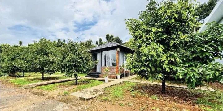 Bán Đất 600m2 có sẵn 50 m2 thổ cư giá 1.29 tỷ tại Đường Cây Trôm Xã Thái Mỹ Huyện Củ Chi TP. Hồ Chí Minh