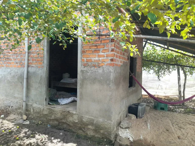 TÂN SINH ĐÔNG – CAM LÂM – 3.162 M² – GIÁ CHỈ 2,3 TỶ
