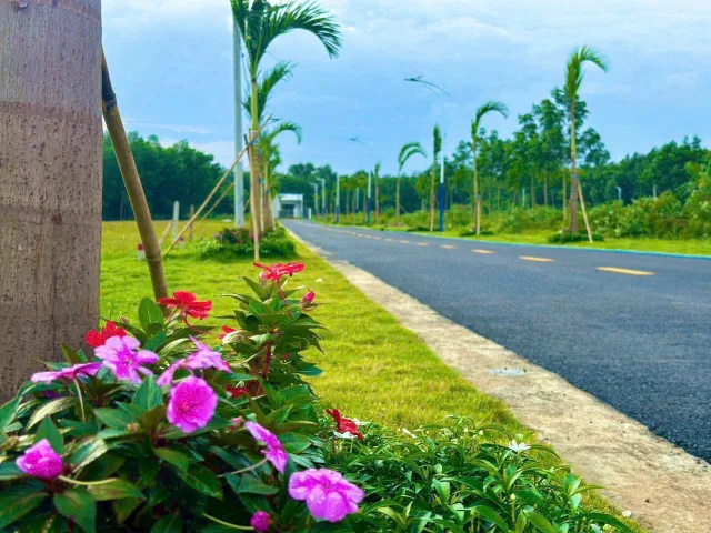 Bán Đất 225m2 có sẵn 100 m2 thổ cư giá 490 triệu tại Đường Quốc lộ 14 Thị trấn Chơn Thành Thị xã Chơn Thành Bình Phước