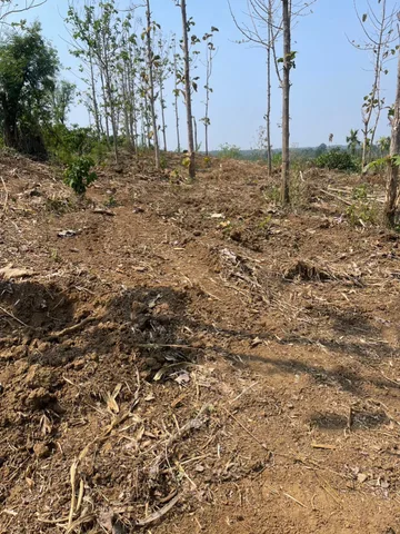 Bán Đất 7243m2 giá 600 triệu tại Xã Ea M'DRóh Huyện Cư M'gar Đắk Lắk