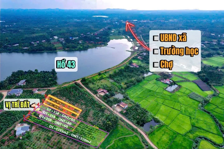 Bán Đất 8x45=358m2 - TC60 m2 - gần hồ Đội 43 - giá 390 triệu tại Xã Ea Ning Huyện Cư Kuin Đắk Lắk
