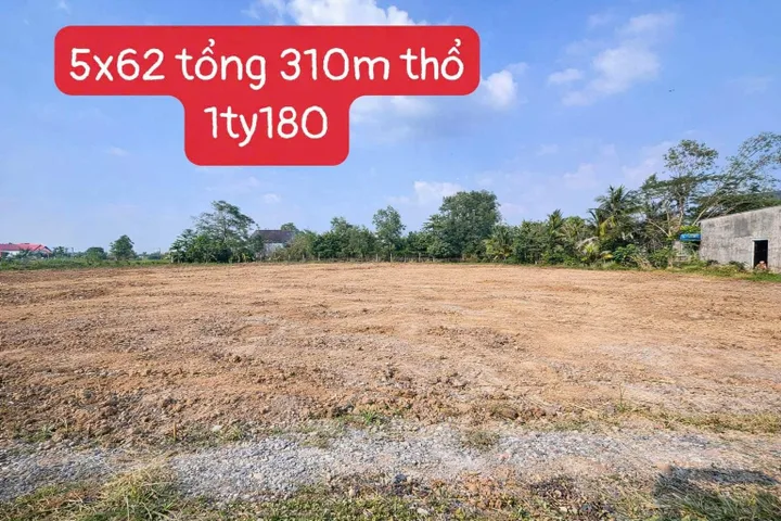 Đất thổ, sổ sẵn ngay Công Viên Võ Văn Tần, 5x62 (307m2), đường thông, sẹc ngắn giá tốt chỉ 3tr8/m2