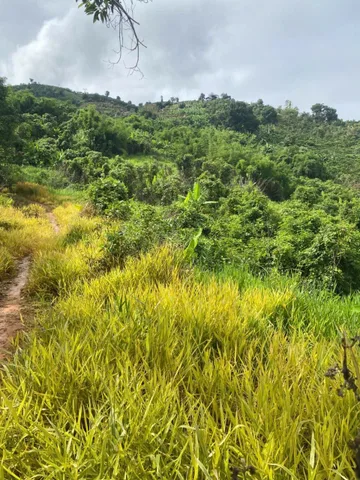 Thanh lí : Bán nhanh đất sổ riêng đường đi rõ ràng tại Bảo Lâm, Lâm Đồng