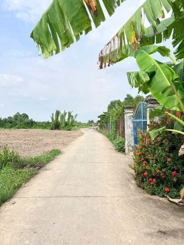Bán đất thổ cư mt bê tông 4m cách Nguyễn Văn Vịnh 100m tại Tân Trụ Long An