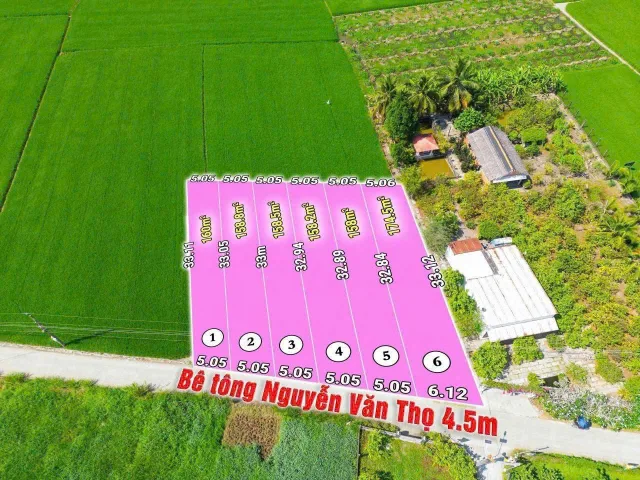Bán Đất thổ cư 5x33 mt Nguyễn Văn Thọ  ấp 3 Lạc Tấn dân cư đông đúc đường thông tại Long An