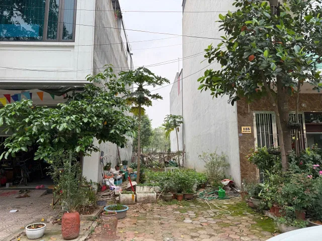 Cần bán lô giãn dân Khắc Niệm mặt đường 40m ko lỗi phong thuỷ
- Diện tích : 100m2 mặt tiền 5m
- Hướng Tây Bắc
💵Giá 8,xx tỷ
☎️ 0947.164.998