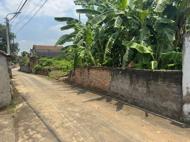 Bán Đất 240m2 có sẵn 80 m2 thổ cư giá 960 triệu tại - Chọn - Xã Quỳnh Sơn Huyện Yên Dũng Bắc Giang