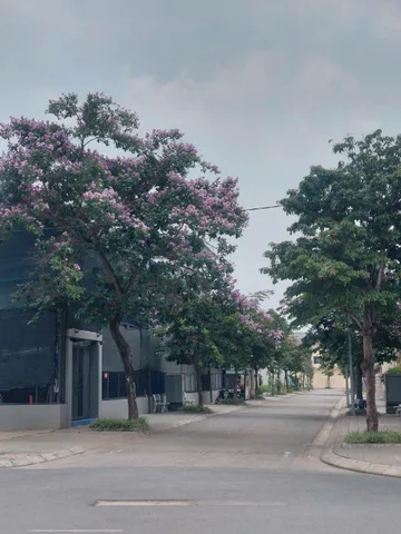 Bán lô đất biệt thự 250m2 Khu Đô Thị Nguyên Khê,Phúc Thịnh