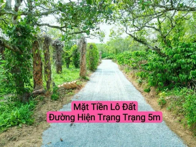 Bán Đất 458m2 có sẵn 60 m2 thổ cư giá 199 triệu tại Xã Cư Ni Huyện Ea Kar Đắk Lắk