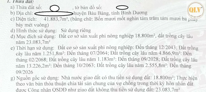 BÁN NHÀ XƯỞNG TẠI BÀU BÀNG, BÌNH DƯƠNG – 41.883m²