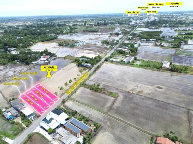 Bán 226m2 đất thổ + lúa có sẵn 134m2 thổ mt nhựa HL25 tại Tân Phước Tây Long An