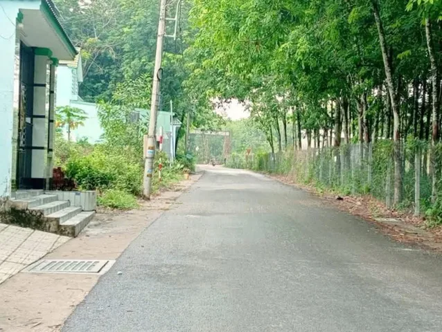 Chủ gửi bán lô đất xào đẹp ngay Bàu Bàng BD. Mặt tiền đường nhựa 8m, dân cư có sẵn, đối diện trọ. Đi chợ, trường 5P,... Điện âm nước máy..