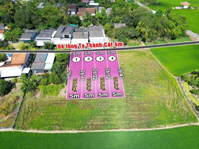 Bán Đất thổ cư 5x26 mt Tạ Thành Cát cách tl833 200m dân cư đông gần nhiều tiện ích