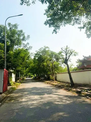 Sốc Chỉ 1,6 tỷ lô đất phân lô An Trì, Hùng Vương, Hồng Bàng, Hải Phòng