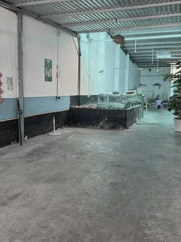 🎍 990 triệu cho quán cf cũ gần 160m2 ngay tại Tân Phú Trung, Củ Chi. Sổ Hồng Riêng