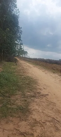 Bán Đất 4000m2 giá 4.8 tỷ tại - Chọn - Xã Bình Sơn Huyện Long Thành Đồng Nai